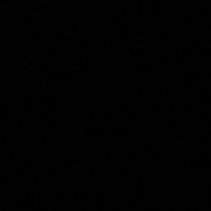 Meet your Posher, Hayley